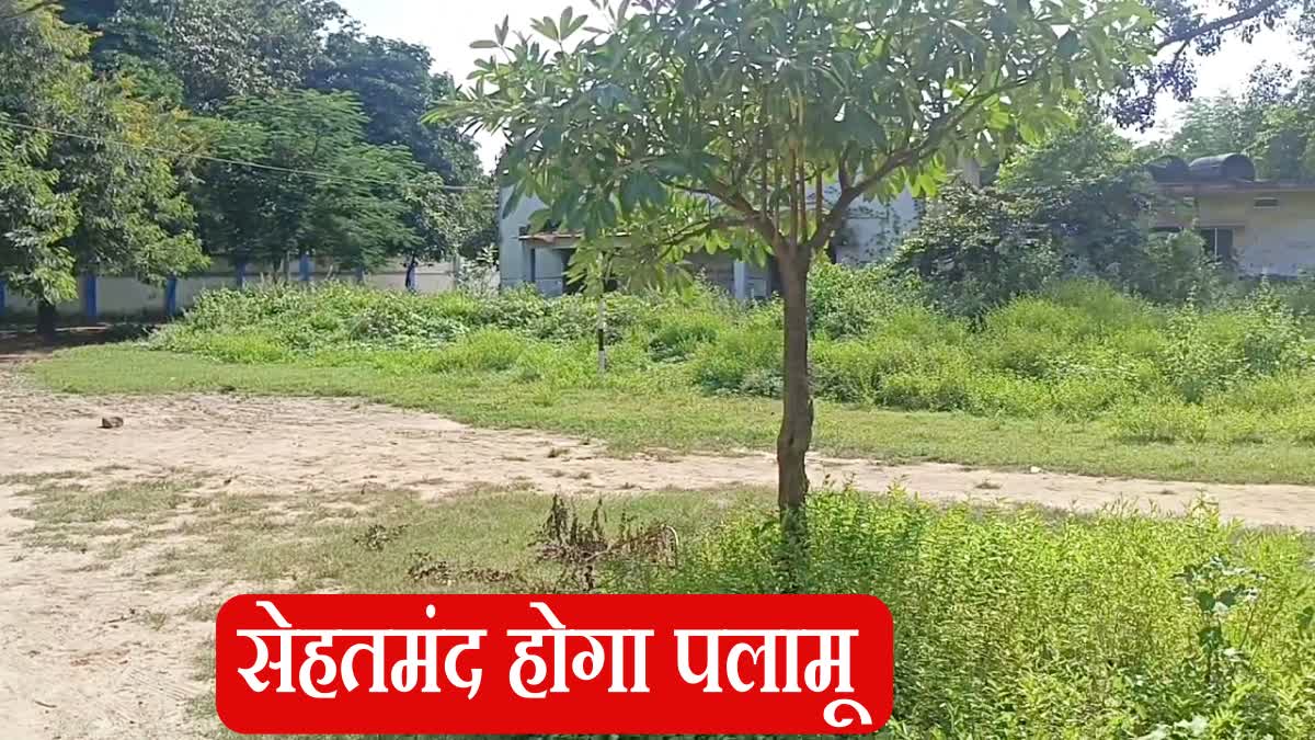 Health park to be built in Palamu