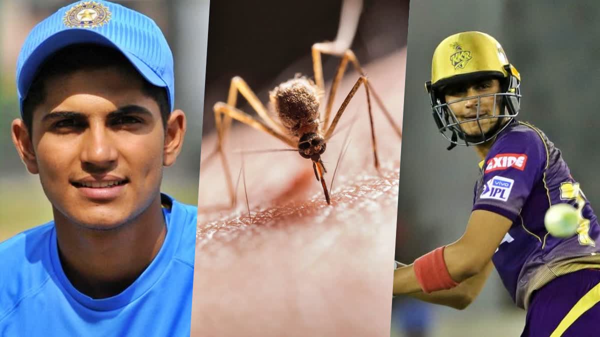 Shubman Gill got dengue at the beginning of the World Cup, know how to avoid this disease