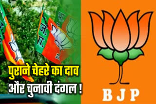 BJP Tickets To Defeated Leaders