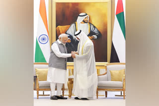India-Arab Ties
