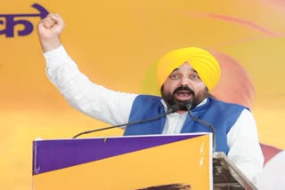 Bhagwant Mann called BJP black British