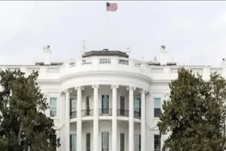 White House condemns car incident