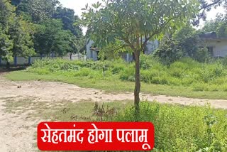 Health park to be built in Palamu