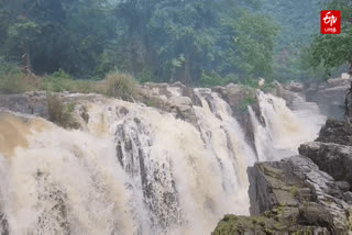 ஒகேனக்கல் காவிரி ஆற்றில் வெள்ளம்