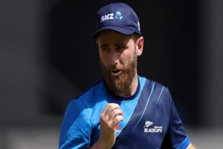 kane williamson