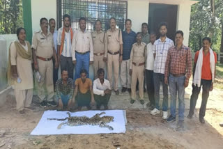 Three Arrested With Leopard Skin