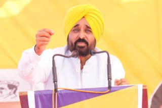 SIDHI PUNJAB CM BHAGWANT MANN TARGETS PM NARENDRA MODI TOLD BJP AND CONGRESS AS BLACK ANGREZ