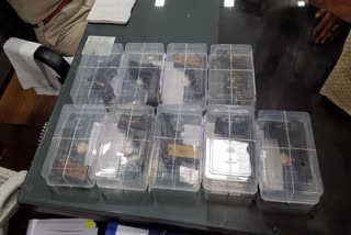 Udaipur Police took action,  Udaipur Police seized 8 pistols