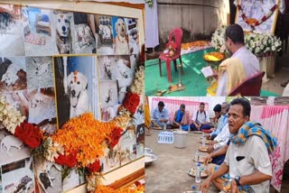 Dog Death Rituals In Hinduism