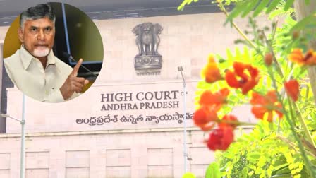 AP High Court Hear on Chandrababu Petition