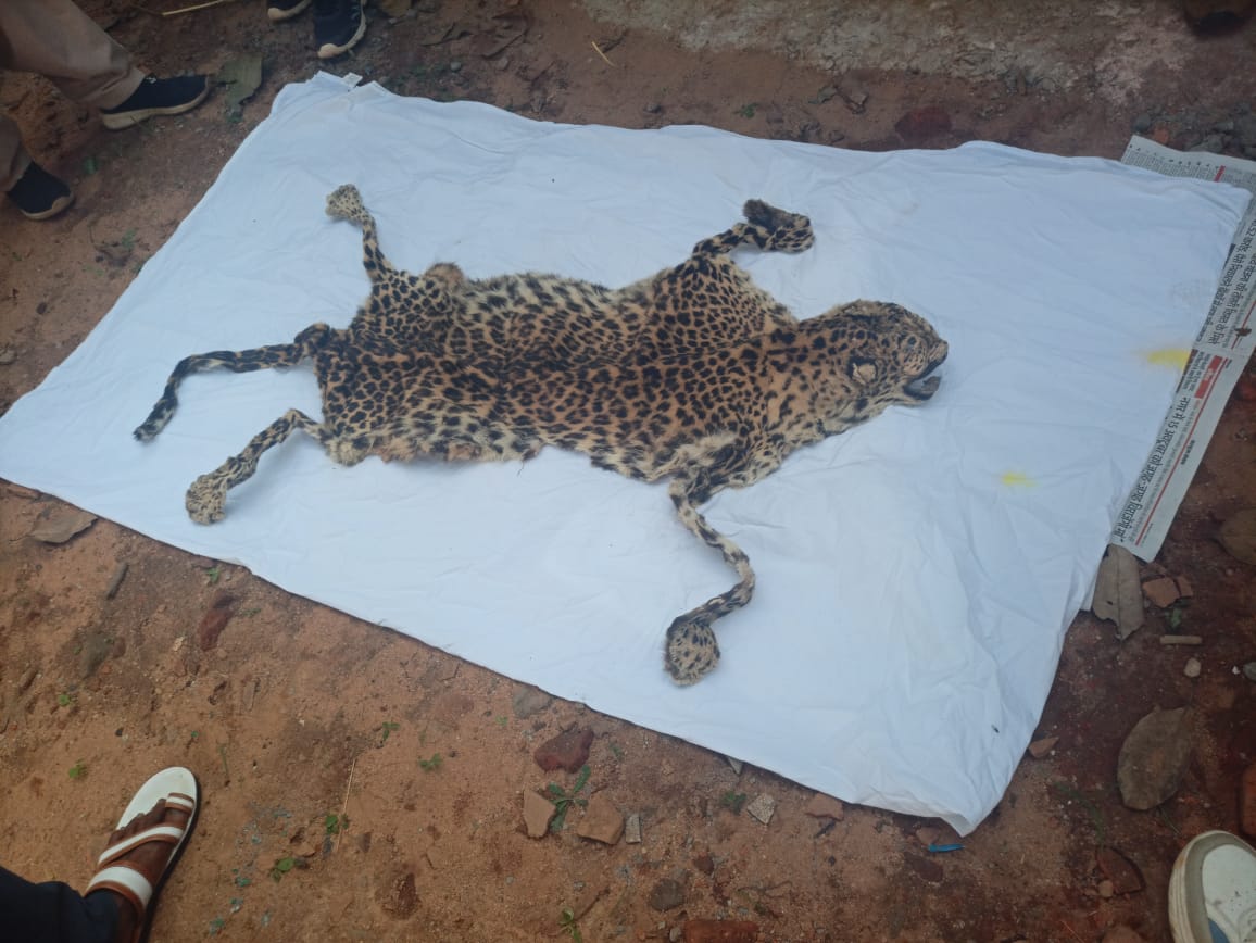 Three Arrested With Leopard Skin