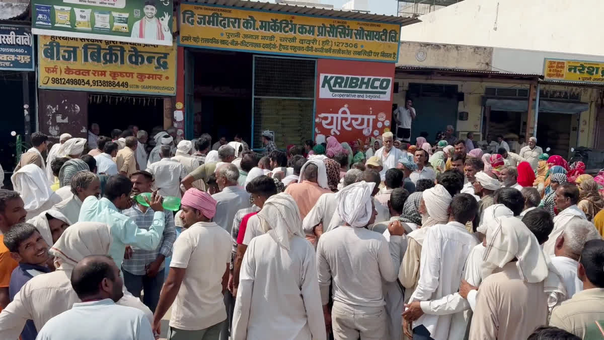 DAP fertilizer Shortage in Haryana