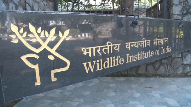 Wildlife Institute of India