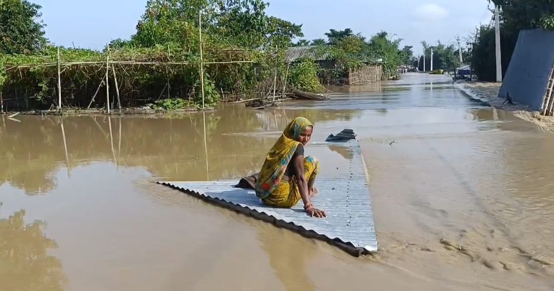 बिहार में बाढ़ से हाहाकार