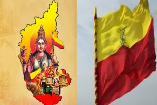 Mandatory To Hoist Kannada Flag In All Private Institutes, IT-BTs Of Bengaluru: DK Shivakumar