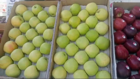 APPLES OF HARSHIL VALLEY