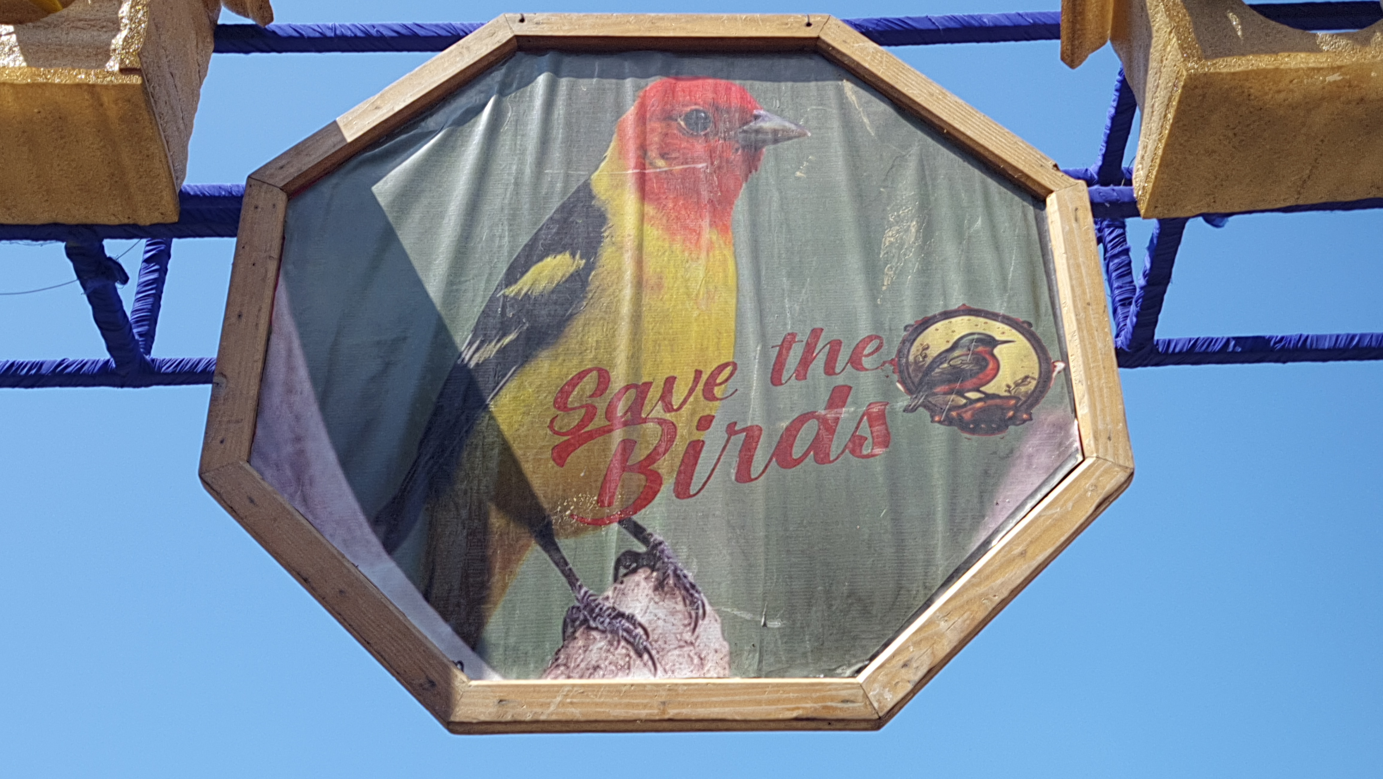 save birds theme pandal