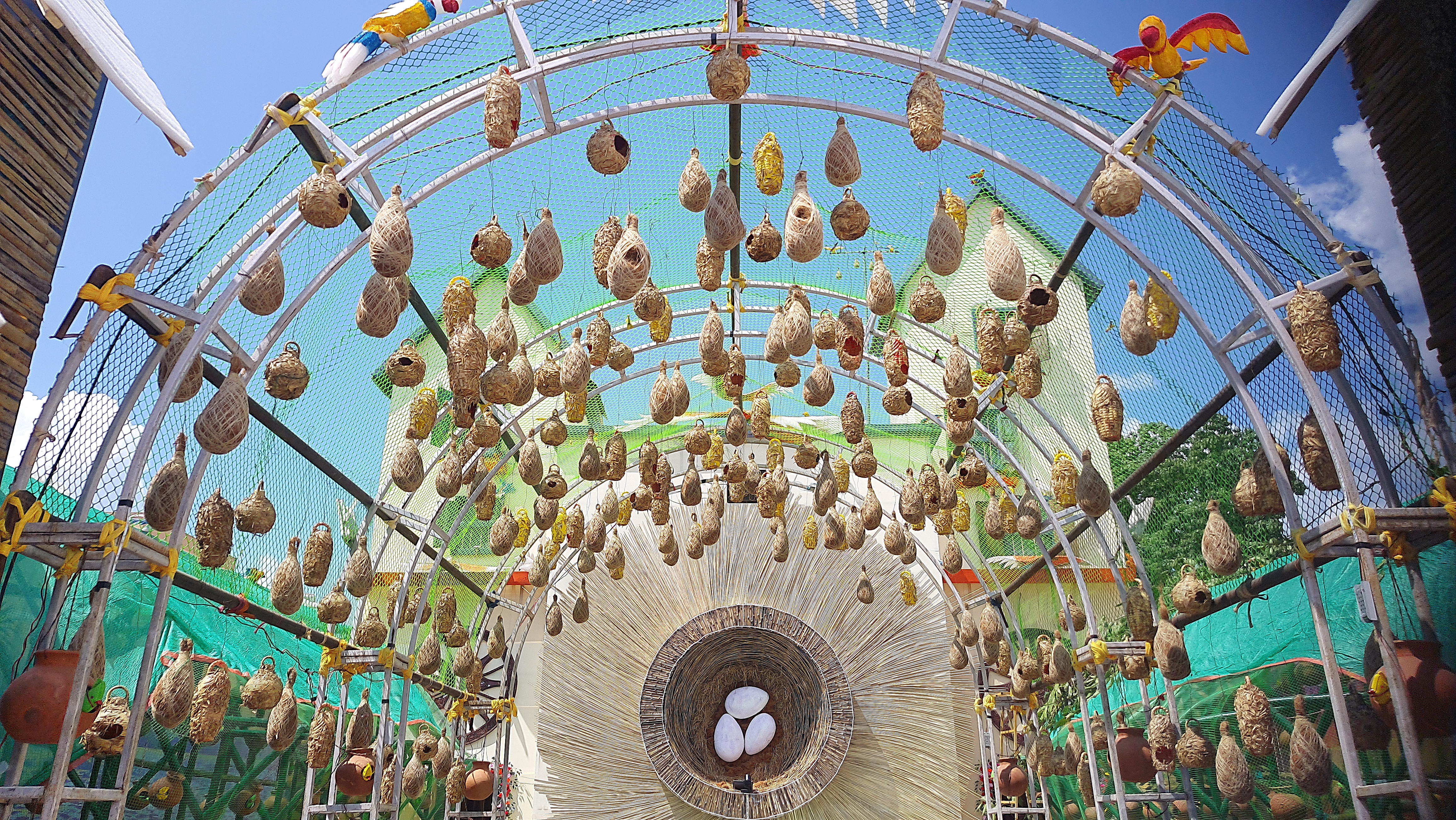 save birds theme pandal