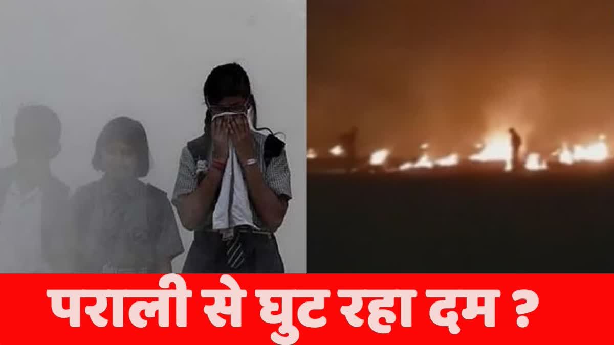 Stubble burning cases in Haryana