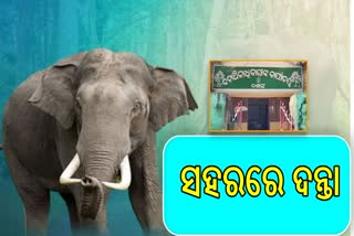 ବଣାଇ ସହର ମଧ୍ୟରେ ଦନ୍ତା ,ଲୋକେ ଭୟଭୀତ