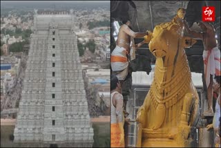 pradosham festival at Tiruvannamalai annamalaiyar temple