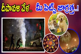 Pets_Care_During_Diwali_2023