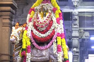 19998532_Pradosha_Nandi_Seva_to_Sri_kalahasteeshwara­­_Temple