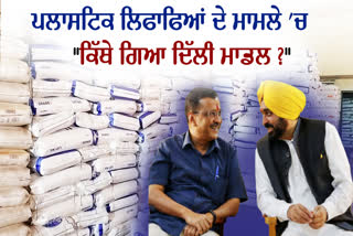 Restricted Polythene In Punjab