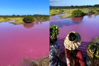 Pink Lake In Hawaii