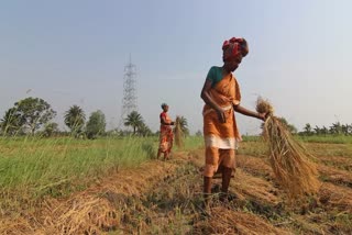 Kerala farmer ends life over financial distress; Governor, LoP slam govt