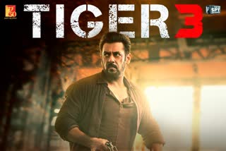 Salman Khan starrer Tiger 3  Salman Khan  Tiger 3  Tiger 3 promises fireworks at the box office  ടൈഗര്‍ 3 അഡ്വാന്‍ ബുക്കിംഗ് കലക്ഷന്‍  ടൈഗര്‍ 3  ദീപാവലി റിലീസായി ടൈഗര്‍ 3  സല്‍മാന്‍ ഖാന്‍  കത്രീന കൈഫ്  Tiger 3 release