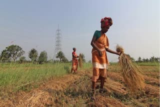 Farmer commits suicide due to alleged economic crisis in Kerala