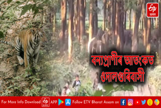 Wild animal scare in Udalguri