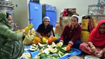 Women made papaya sweets in Hamirpur