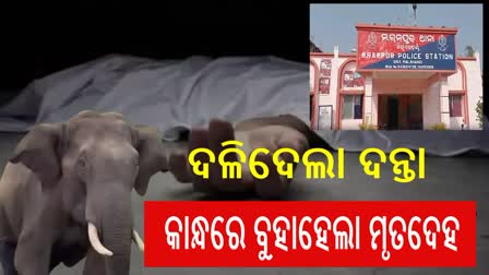 ହାତୀ ଦଳି ଦେବାରୁ ଚାଲିଗଲା ଜୀବନ