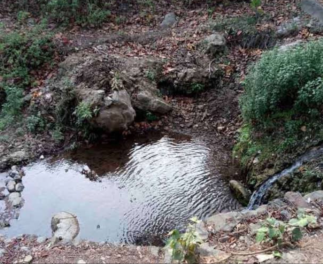 Himachal water sources