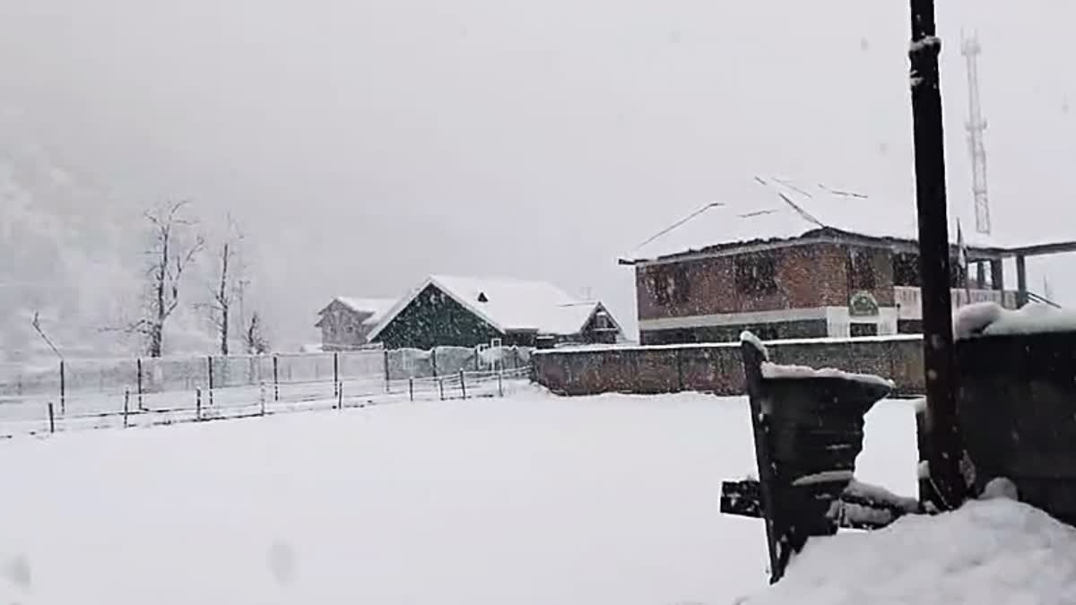 Flight Cancellations Force CM Omar Abdullah to Travel by Road; Fresh Snowfall in Gurez Valley