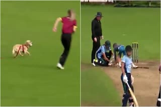 Dog Enters in Ground During Live Match