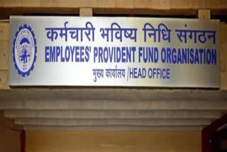 EPFO members number rises