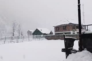 Flight Cancellations Force CM Omar Abdullah to Travel by Road; Fresh Snowfall in Gurez Valley