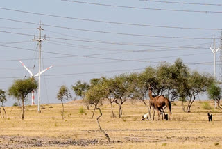 Oran land in Jaisalmer