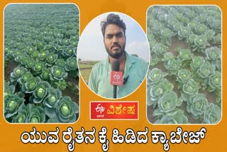 A young farmer who grows cabbage and earns a lot of profit