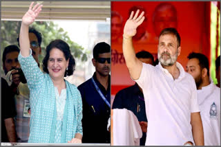 Priyanka Gandhi concluded her campaign in Tiruvambadi, an assembly constituency in Kozhikode district, part of the Wayanad Lok Sabha area, alongside her brother Rahul Gandhi.