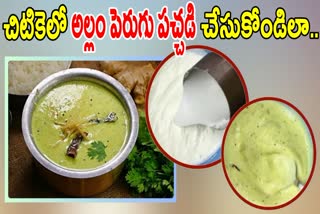 HEALTHY GINGER CURD PACHADI