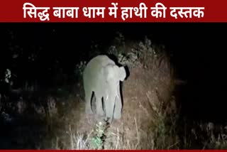 elephant Terror in Chhattisgarh