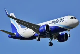 Indigo flight