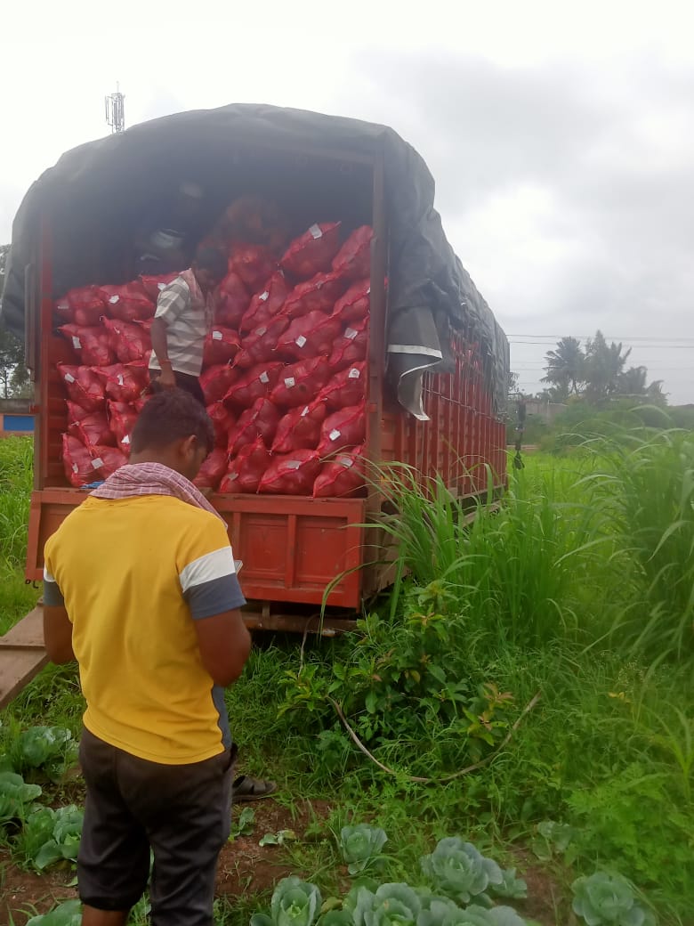 A young farmer who grows cabbage and earns a lot of profit