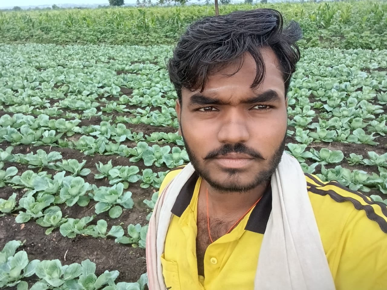 A young farmer who grows cabbage and earns a lot of profit