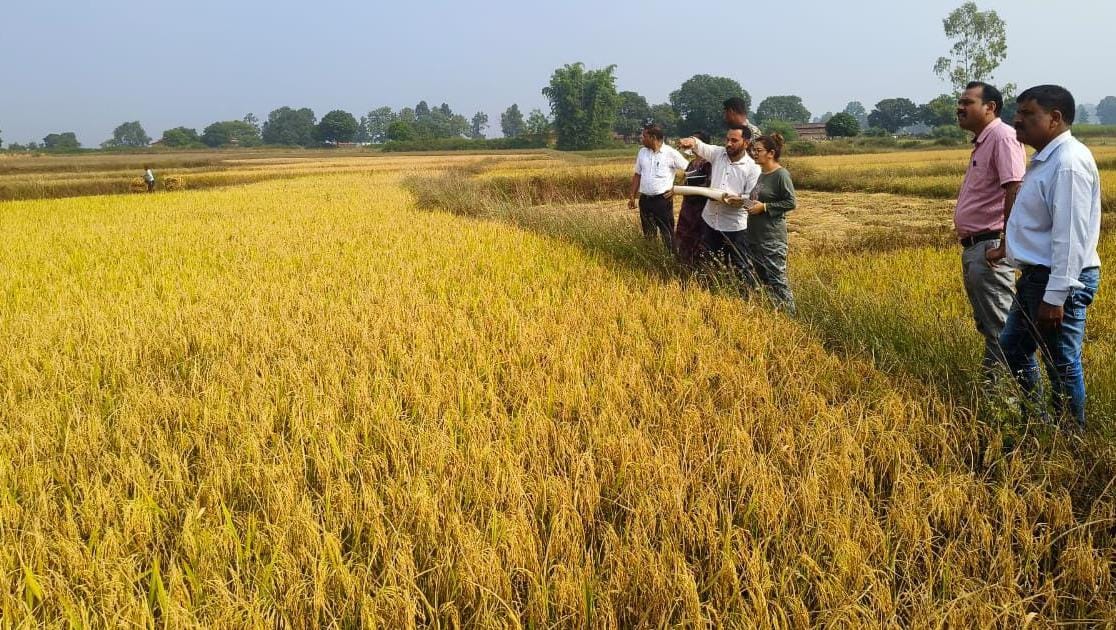 crop survey in baikunthpur korea