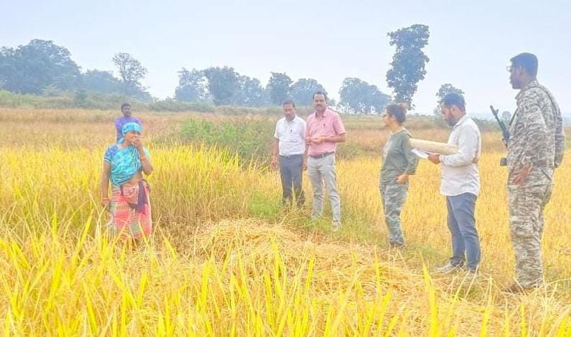 crop survey in baikunthpur korea